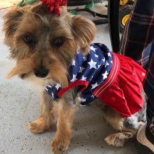 Meet your Posher, Rose